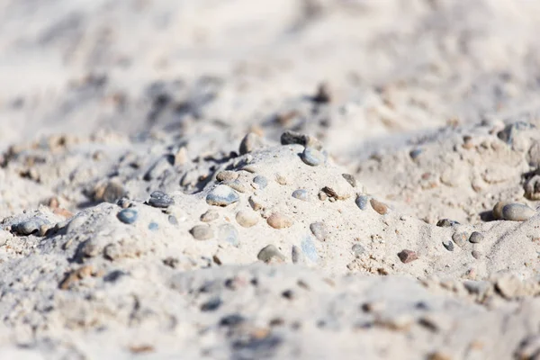 Stones White Sand Background Park Nature — Stock Photo, Image