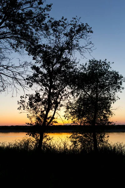 Günbatımı Arka Planında Nehirdeki Ağaç Silueti — Stok fotoğraf