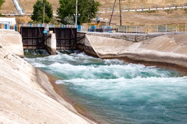 Nehir girişindeki dalgalı su. Doğadaki parkta.
