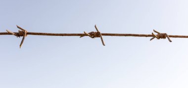 Mavi gökyüzüne karşı dikenli tel. Doğadaki parkta.