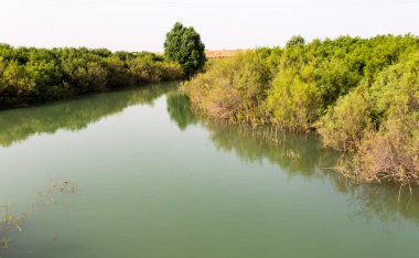 Kazakistan 'daki Bugun Nehri. Doğadaki parkta.