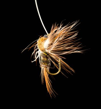 Siyah arka planda balık yakalamak için uç .