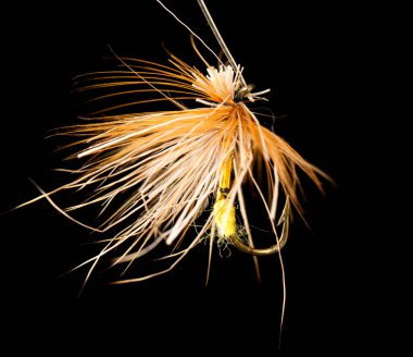 Siyah arka planda balık yakalamak için uç .