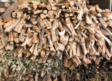 Arka plan olarak yakacak odun. Doğadaki parkta.