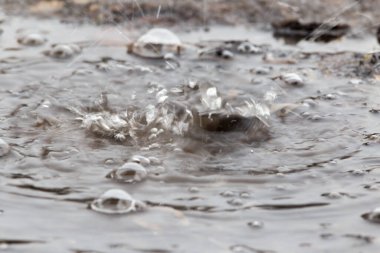 Yağmur birikintisine su sıçrıyor. .