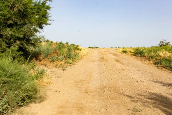 Chemin Terre Dans Désert Dans Parc Dans Nature — Photo