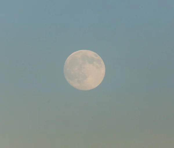Повний Місяць Заході Сонця Парку Природі — стокове фото