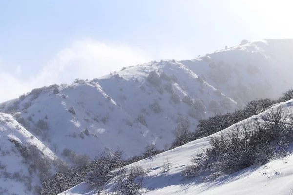 カザフスタンの雪山です 自然公園で — ストック写真