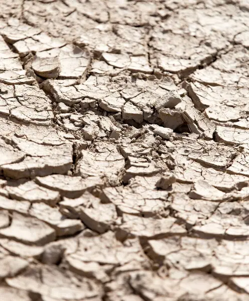 Terra Secca Incrinata Come Sfondo Nel Parco Nella Natura — Foto Stock