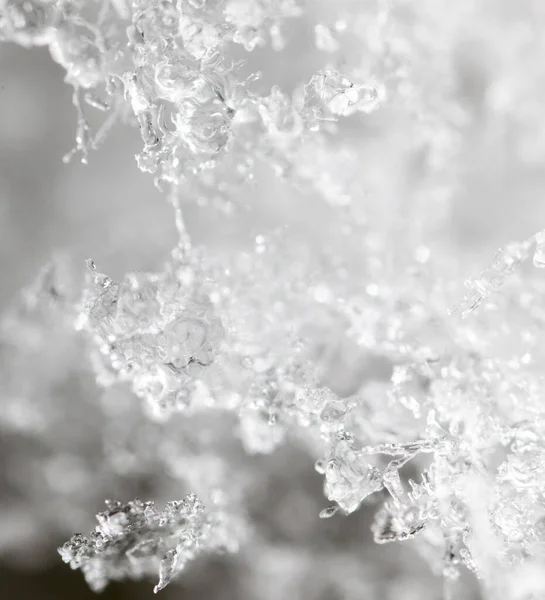 Śnieg Naturze Jako Tło Makro — Zdjęcie stockowe
