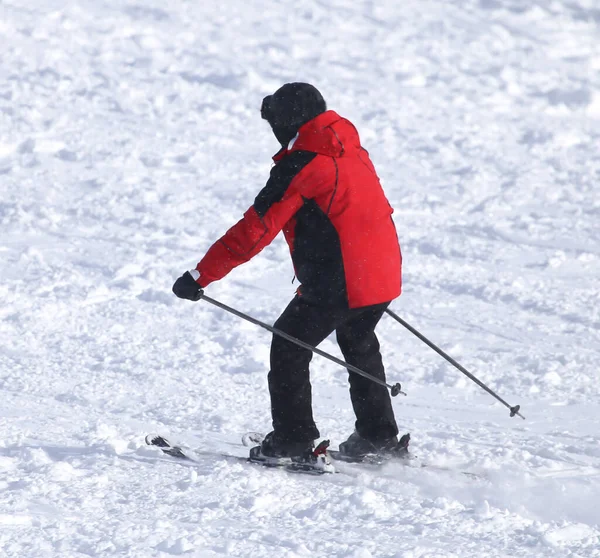 Les Skieurs Dans Neige Hiver — Photo