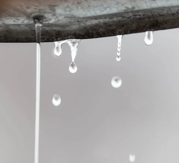 Droppar Från Regnets Tak — Stockfoto