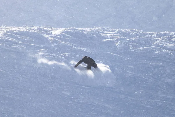 Snowboardzista Parku Przyrodzie — Zdjęcie stockowe