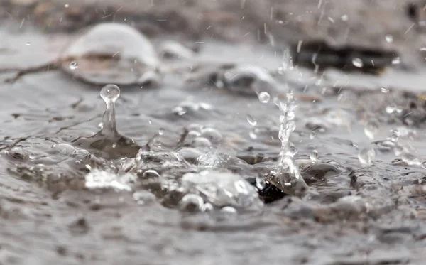 Water Spat Een Plas Regen — Stockfoto