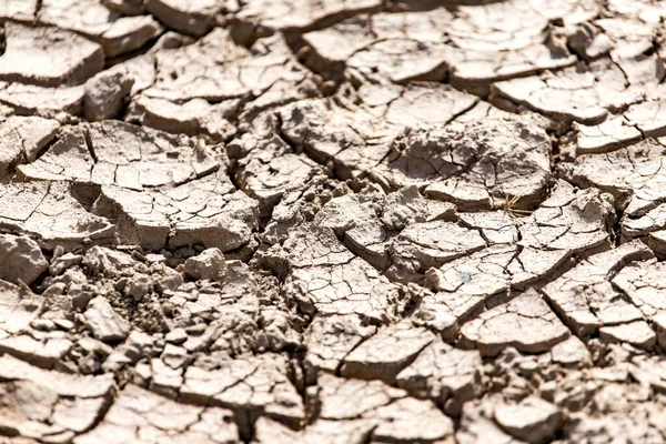 Cracked Dry Earth Background Park Nature — Stock Photo, Image
