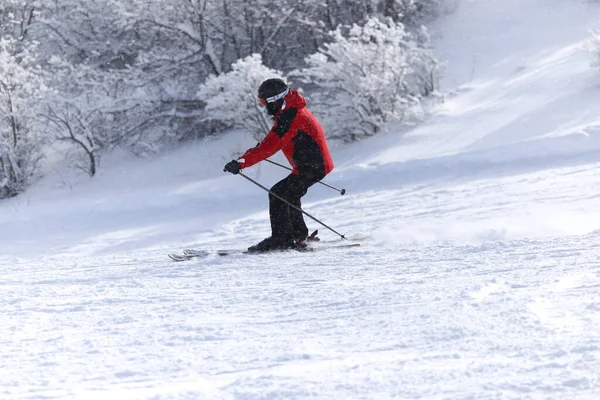 Люди Катаются Лыжах Снегу Зимой — стоковое фото