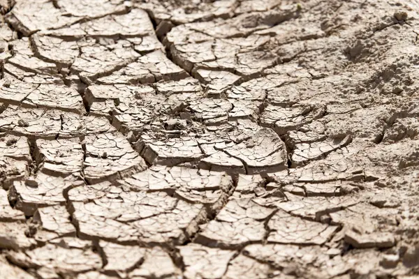 Cracked Dry Earth Background Park Nature — Stock Photo, Image