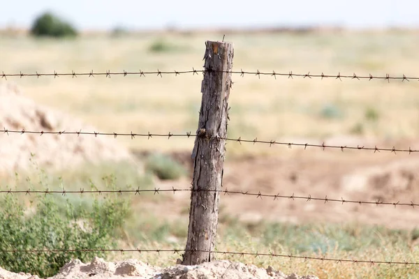 Barbed Wire Fence Nature Park Nature — Stock Photo, Image