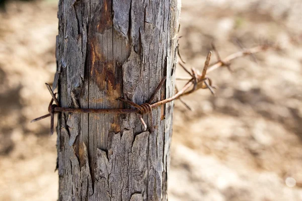 Cerca Alambre Púas Naturaleza Parque Naturaleza — Foto de Stock