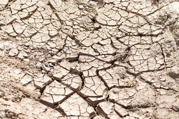 Tierra Seca Agrietada Como Fondo Parque Naturaleza —  Fotos de Stock