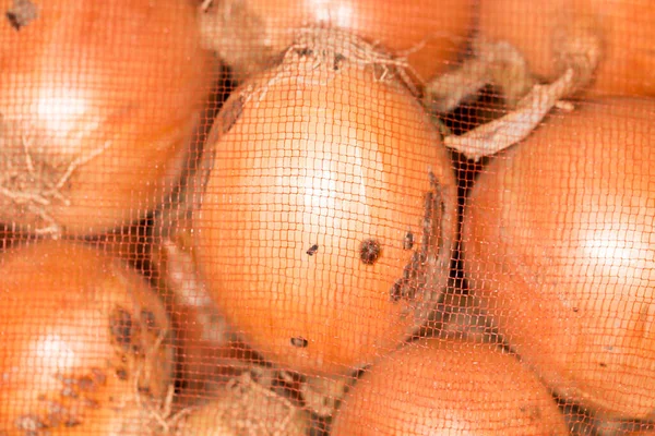 Cebollas Una Bolsa Foto Una Textura Abstracta — Foto de Stock