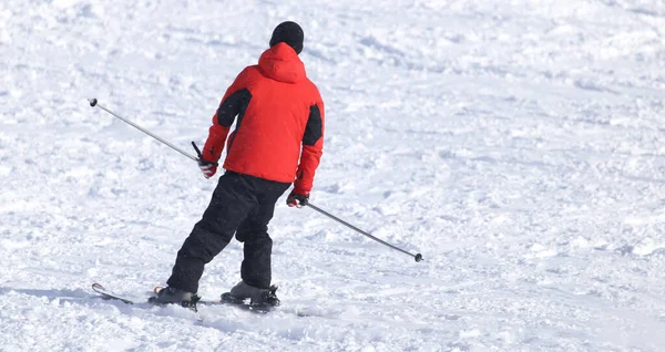 Personas Esquiando Nieve Invierno — Foto de Stock