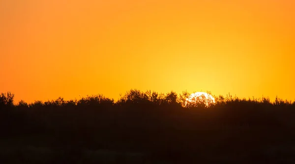 Wunderschöner Sonnenuntergang Als Kulisse Park Der Natur — Stockfoto