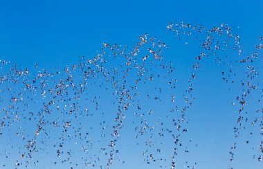 Çeşmeden akan su mavi gökyüzünün arka planında .