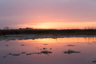 Gölün üzerinde güneşin güzel gündoğumu .