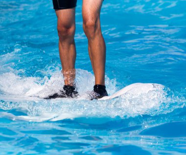 Havuzda beyaz bir yunusun üzerinde duran bir adam. .