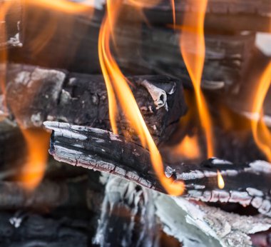 Brezilya 'da odun yakmak. Fotoğraflar stüdyoda.