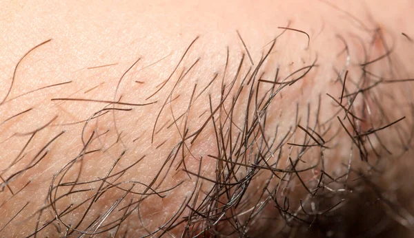 Barba Sete Dias Barba Sete Dias Num Homem Caucasiano Macro — Fotografia de Stock