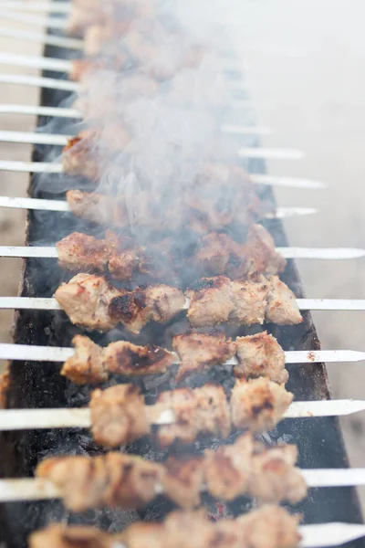 Pinchos Plancha Parrilla Parque Naturaleza —  Fotos de Stock