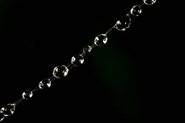 Water Droplets Spider Web Black Background — Stock Photo, Image