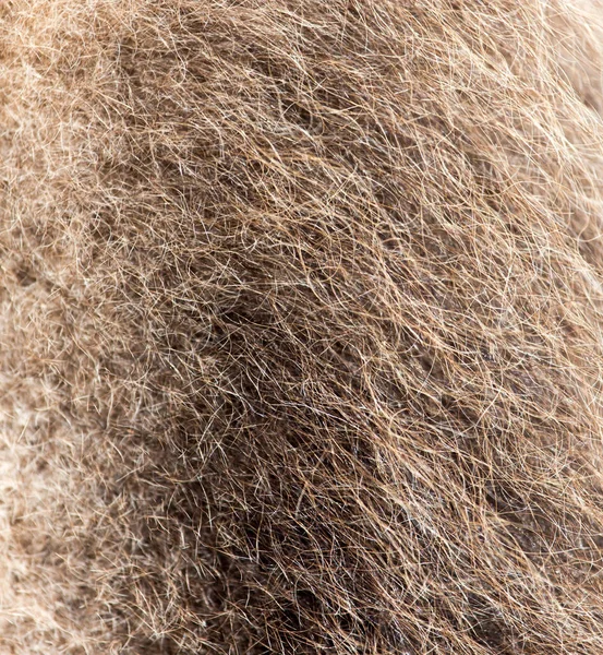 ラクダの毛を背景に 抽象的な質感の写真 — ストック写真
