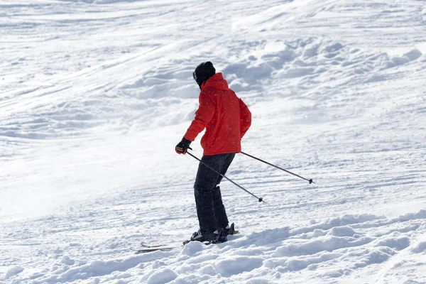 滑雪者滑雪 在大自然的公园里 — 图库照片