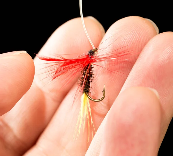 Fly Catch Fish Hand Black Background — Stock Photo, Image