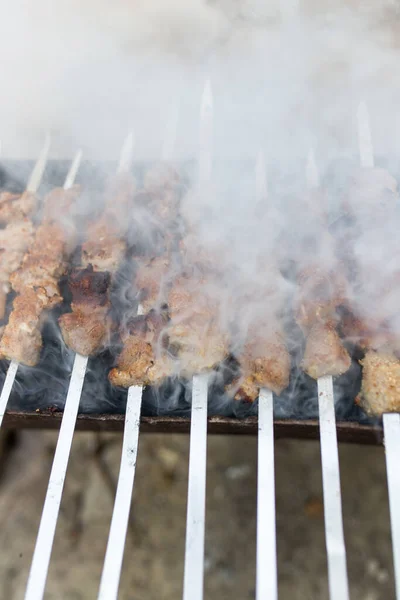 Pinchos Plancha Parrilla Parque Naturaleza —  Fotos de Stock