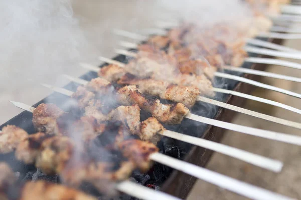 Gegrilde Spiesjes Grill Het Park Natuur — Stockfoto