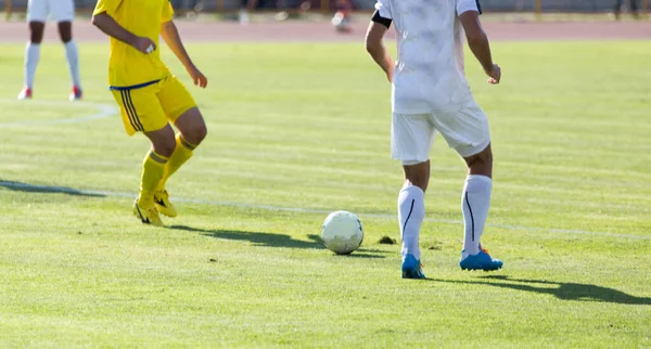 Pallone Calcio Nel Parco Nella Natura — Foto Stock