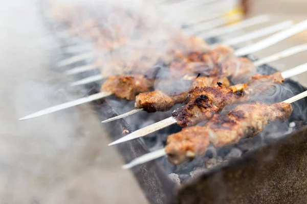 Grilované Špejle Grilu Parku Přírodě — Stock fotografie