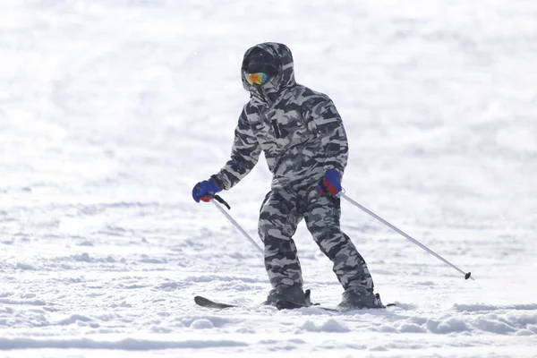 人们在冬天滑雪 在大自然的公园里 — 图库照片