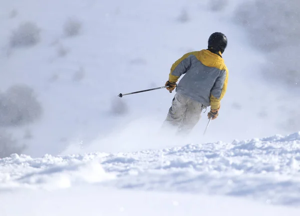 Persone Che Sciano Inverno Nel Parco Nella Natura — Foto Stock