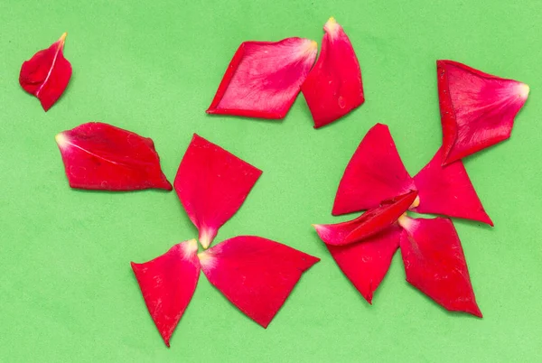 绿色底色的红玫瑰花瓣 — 图库照片