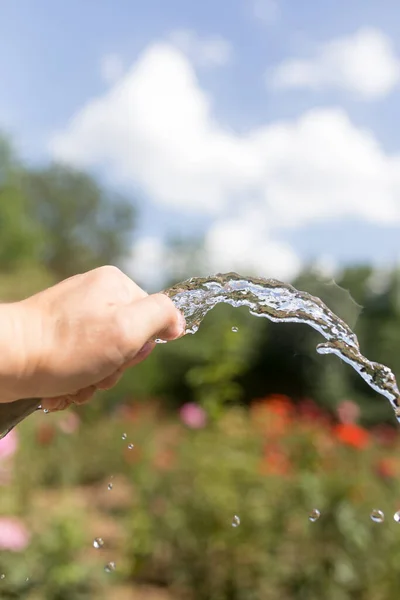 Agua Riego Manguera Aire Libre Parque Naturaleza —  Fotos de Stock