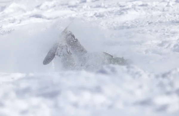 Mensen Vielen Een Snowboard Sneeuw Winter — Stockfoto