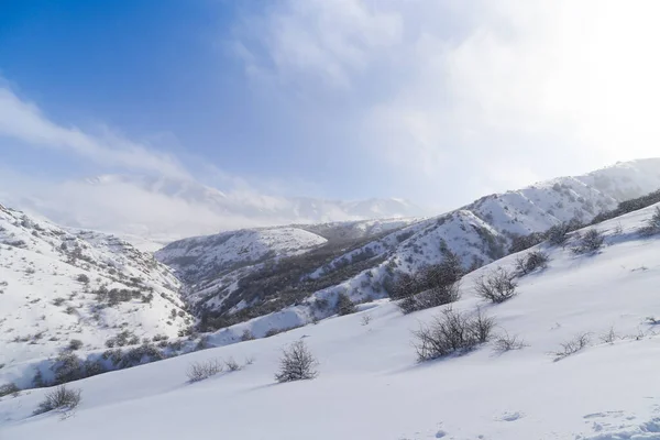 雪地里美丽的天山 在冬天 — 图库照片