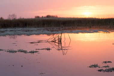 Gölün üzerinde güneşin güzel gündoğumu .