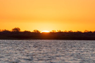 Gölde güzel bir gün doğumu. Doğadaki parkta.