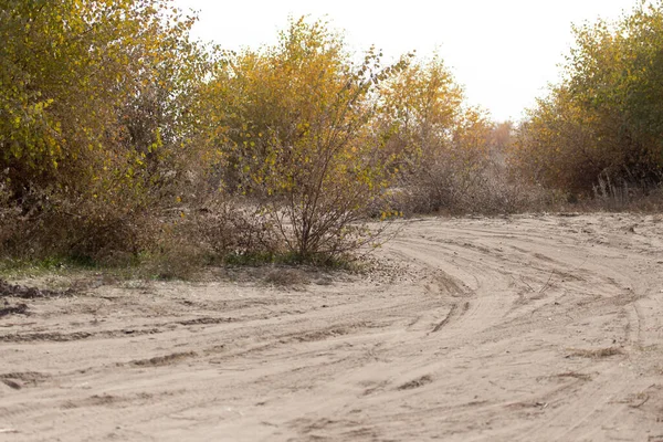 Camino Polvoriento Desierto Parque Naturaleza — Foto de Stock